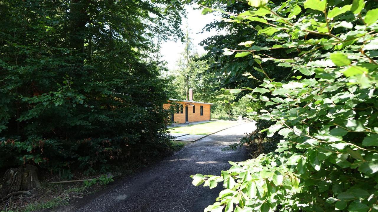 Lesni Lazne Muna Holiday home